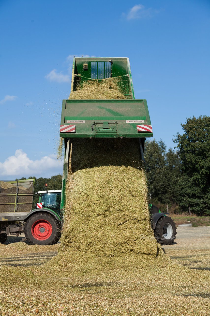 Bild 102 - Maisernte